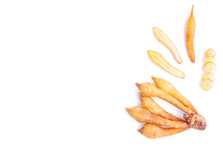 Finger root over white background with copy space for your text.の写真素材