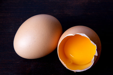 Yolk chicken egg 