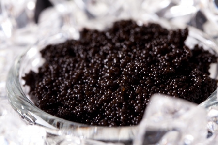 Black caviar served on ice.の写真素材