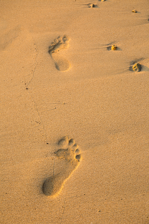 Footprint on the sand beach.の写真素材