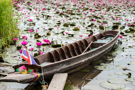 Little boat in pink Lotus pond.の写真素材