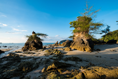 Sea view from the beach with a lot of rock in evening light.の写真素材