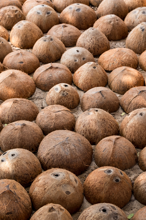 Texture of half coconut shell.の写真素材