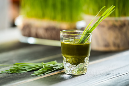 Fresh wheat grass juice, organic food for healthy eating.の写真素材