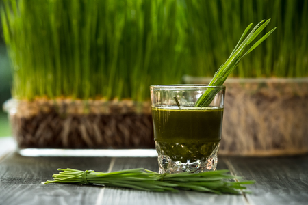 Fresh wheat grass juice, organic food for healthy eating.の写真素材