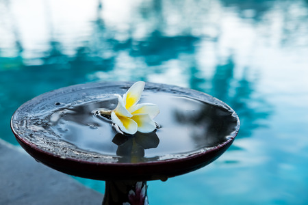Flower in tray with pedestal, common garden decoration is anywhere in Bali.の写真素材