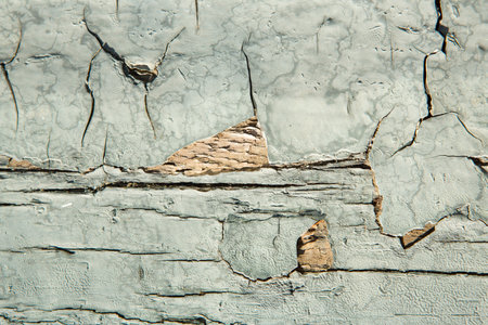 Vintage wood background and texture with green peeling paint.