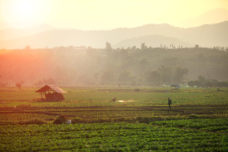 iew of a rural farm with small hut under the sunlight (flare effect)の写真素材