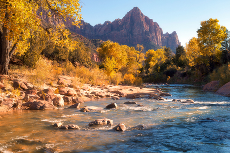 View of the Watchman mountain and the virgin river in Zion National Park located in the Southwestern United States, near Springdale, Utahの写真素材