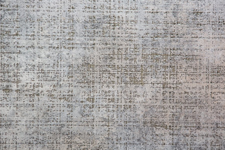 cement or concrete texture and background seamless