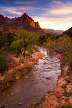 View of the Watchman mountain and the virgin river in Zion National Park located in the Southwestern United States, near Springdale, Utahの写真素材