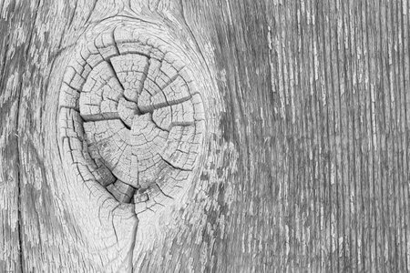 close up of wall made of wooden planks use as background and texture high resolutionの写真素材