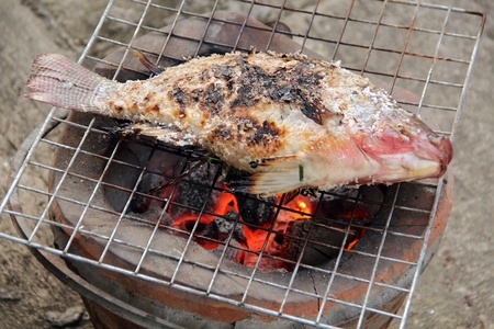 Baked fishの写真素材
