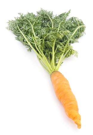 Carrot with leaves isolated on a white background.の写真素材
