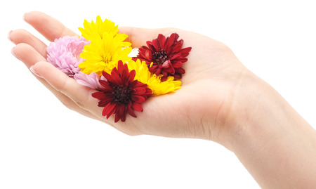 Hand with flowers isolated on a white background.の写真素材