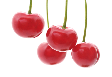 Cherries on a branch on a white background.の写真素材