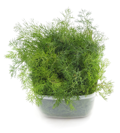 Bunch of dill in the container isolated on a white background.の写真素材