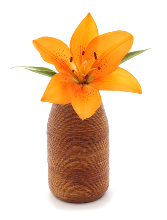 Orange lily in a vase isolated on a white background.の写真素材
