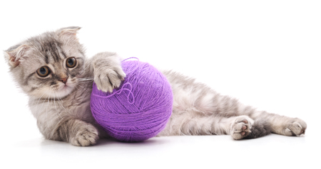 One striped kitten with a ball of yarn isolated on a white background.の写真素材