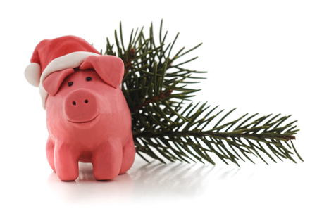 Plasticine pig in a hat isolated on a white background.の写真素材
