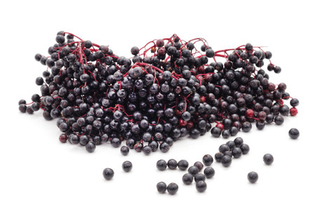 Black elderberry fruit isolated on a white background.