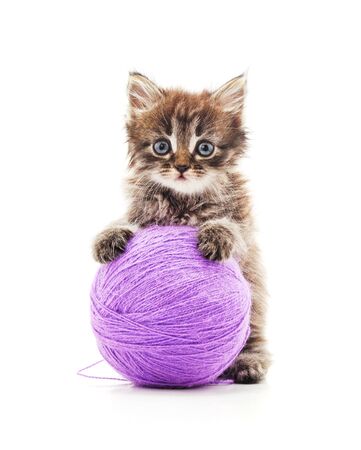Kitten with a ball on a white background.の写真素材