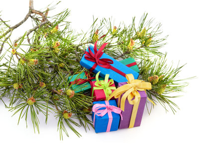 Christmas tree and gifts isolated on a white background.