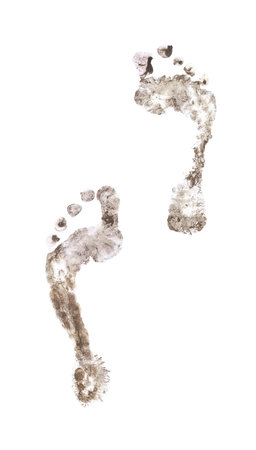 Footprints bare feet isolated on a white background.の写真素材
