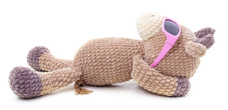 Knitted bull in sunglasses isolated on a white background.の写真素材