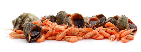 Prawns with rapans with rapans isolated on a white background.