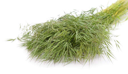 Green grass and seeds isolated on a white background.の写真素材