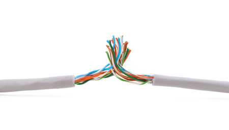 Two internet cables isolated on a white background.