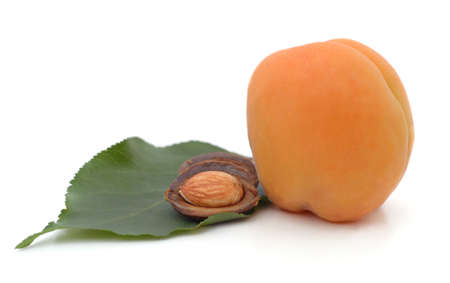 One apricot with seed and leaf isolated on a white background.の写真素材