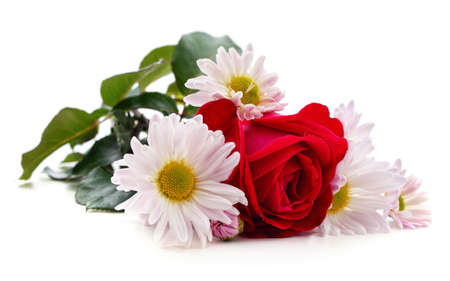 Rose and chamomile isolated on a white background.の写真素材