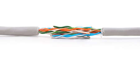 Two internet cables isolated on a white background.の写真素材
