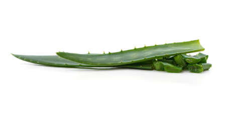 Green aloe leaves cut into pieces isolated on a white background.の写真素材