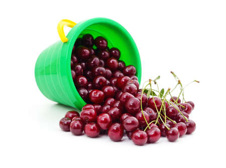 Ripe cherries poured out of a children's bucket isolated on a white background.の写真素材