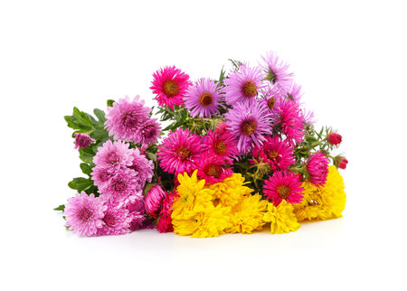 Colorful bouquet of chrysanthemums isolated on a white background.の写真素材