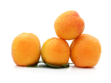 A bunch of yellow apricots isolated on a white background.の写真素材