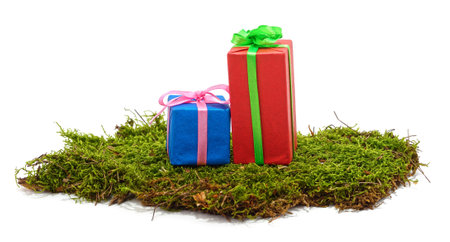 Two gifts on a pile of moss isolated on a white background.の写真素材