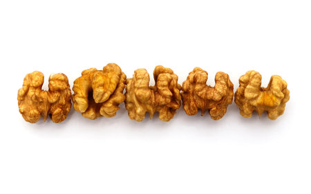Nut kernels in a row isolated on a white background.の写真素材