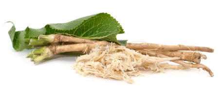 Horseradish roots and leaves isolated on a white background.の写真素材