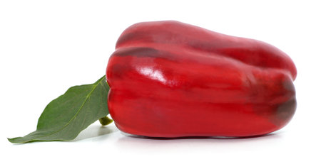 One red pepper with leaves isolated on a white background.の写真素材
