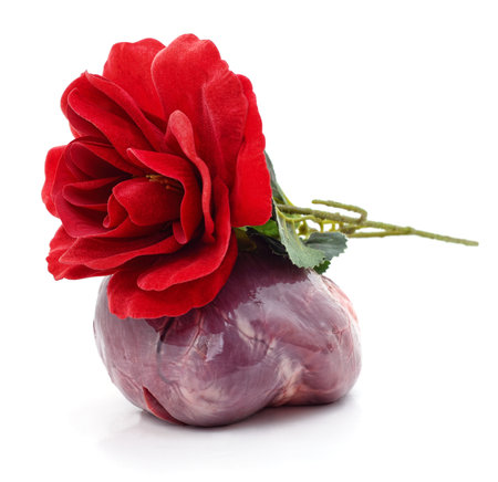 Fresh pork heart and red rose isolated on a white background.の写真素材