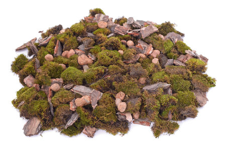 Pile of bark and moss isolated on white background.の写真素材