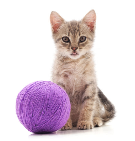 Kitten with a ball isolated on a white background.の写真素材