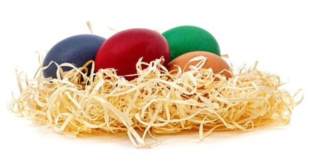 Easter eggs in the nest isolated on a white background.の写真素材