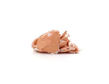 Pile of eggshells isolated on a white background.の写真素材