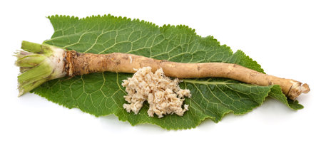 Horseradish roots and leaves isolated on a white background.の写真素材
