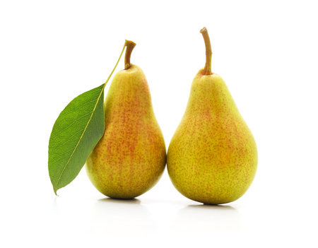 Two ripe pears isolated on a white background.の写真素材